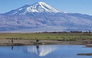 Ağrı Emlak Danışmanlığı Kursu